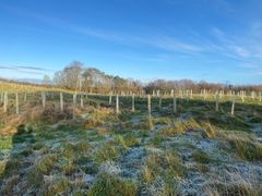 Image from the launch of The Dispersed Memorial Forest at NTS Threave Nature Reserve, Castle Douglas, on Thursday, 27 June, 2024.