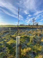 Image from the launch of The Dispersed Memorial Forest at NTS Threave Nature Reserve, Castle Douglas, on Thursday, 27 June, 2024.