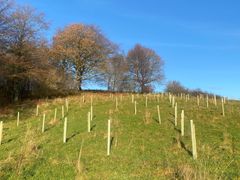 Image from the launch of The Dispersed Memorial Forest at NTS Threave Nature Reserve, Castle Douglas, on Thursday, 27 June, 2024.