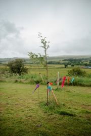 The Dispersed Memorial Forest at Bell Crecent Park, Sanquhar, Scotland.