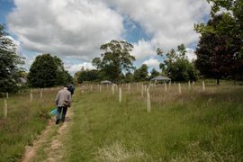Image from the launch of The Dispersed Memorial Forest in The Crichton & NHS Mountainhall, Dumfries, Scotland, on Saturday, 8 June, 2024.
