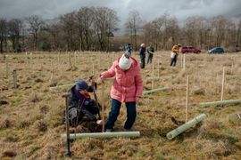 Image from the Phase 2 of Remembering Together, The Dispersed Memorial Forest.