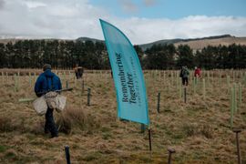 Image from the Phase 2 of Remembering Together, The Dispersed Memorial Forest.