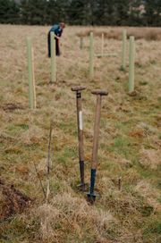 Image from the Phase 2 of Remembering Together, The Dispersed Memorial Forest.