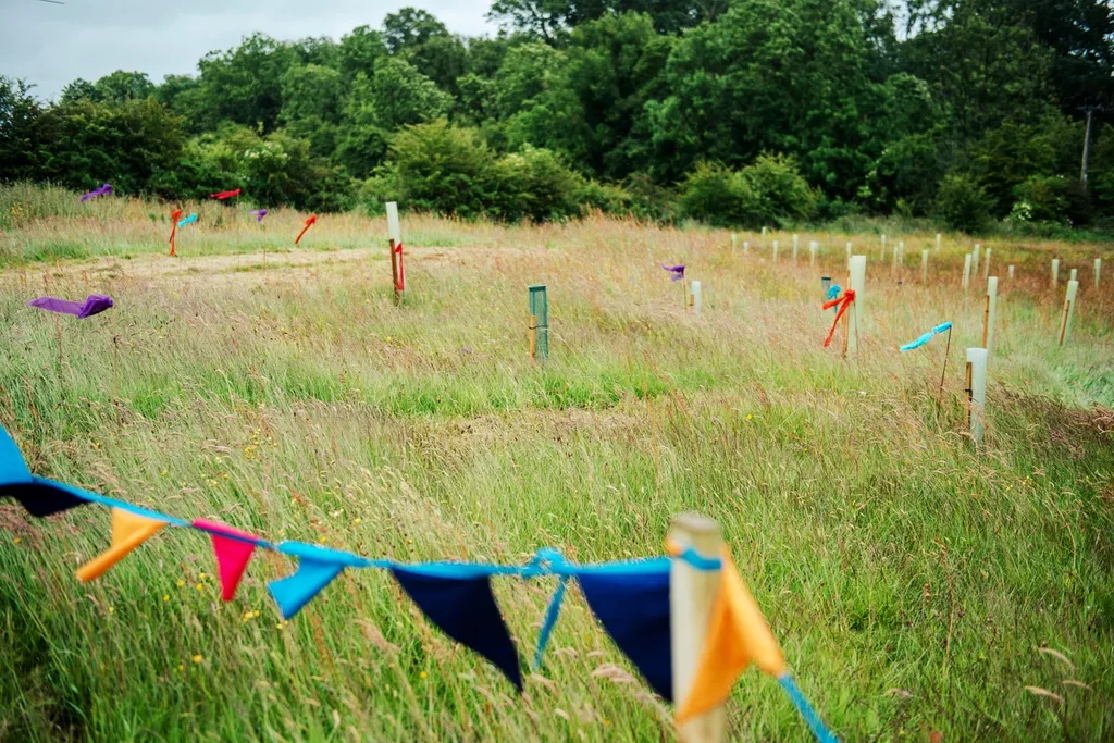 The launching of the forest in Castle Douglas.