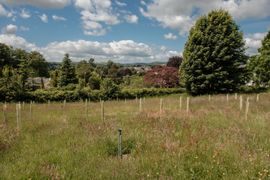 The Dispersed Memorial Forest in The Crichton & NHS Mountainhall, Dumfries, Scotland.