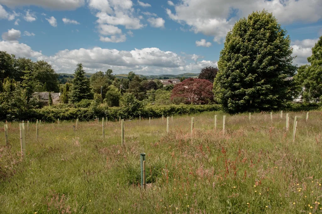The launching of the forest in Dumfries.