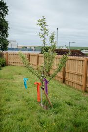 Image from the launch of The Dispersed Memorial Forest at the Galloway Community Hospital, on Saturday, 29 June, 2024.