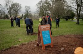 Image from the Phase 2 of Remembering Together, The Dispersed Memorial Forest.