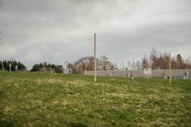 Image from the planting of The Dispersed Memorial Forest in The Crichton & NHS Mountainhall, Dumfries, Scotland.