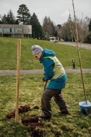 Image from the planting of The Dispersed Memorial Forest in The Crichton & NHS Mountainhall, Dumfries, Scotland.