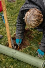 Image from the planting of The Dispersed Memorial Forest in The Crichton & NHS Mountainhall, Dumfries, Scotland.