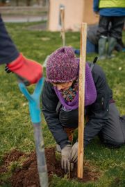 Image from the planting of The Dispersed Memorial Forest in The Crichton & NHS Mountainhall, Dumfries, Scotland.