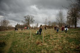 Image from the planting of The Dispersed Memorial Forest in The Crichton & NHS Mountainhall, Dumfries, Scotland.