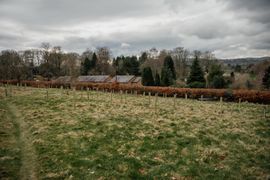 Image from the planting of The Dispersed Memorial Forest in The Crichton & NHS Mountainhall, Dumfries, Scotland.