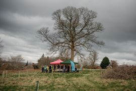 Image from the Phase 2 of Remembering Together, The Dispersed Memorial Forest.