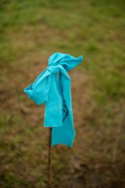 Image from the launch of The Dispersed Memorial Forest at Bell Crecent Park, Sanquhar, on Friday, 14 June, 2024.