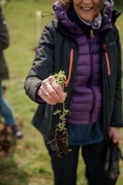 Image from the launch of The Dispersed Memorial Forest at NTS Threave Nature Reserve, Castle Douglas, on Thursday, 27 June, 2024.