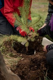 Image from the launch of The Dispersed Memorial Forest at Bell Crecent Park, Sanquhar, on Friday, 14 June, 2024.