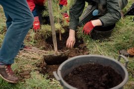 Image from the launch of The Dispersed Memorial Forest at Bell Crecent Park, Sanquhar, on Friday, 14 June, 2024.