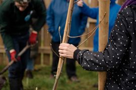 Image from the launch of The Dispersed Memorial Forest at the Galloway Community Hospital, on Saturday, 29 June, 2024.