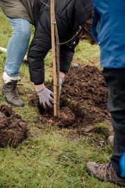 Image from the launch of The Dispersed Memorial Forest at the Galloway Community Hospital, on Saturday, 29 June, 2024.