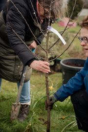 Image from the launch of The Dispersed Memorial Forest at the Galloway Community Hospital, on Saturday, 29 June, 2024.